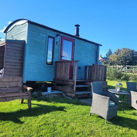 The Shepherds Hut At Forestview Farm Greenisland エクステリア 写真